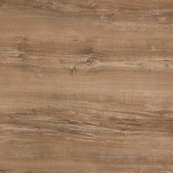 14-HT-481-ARIZONA-PINE